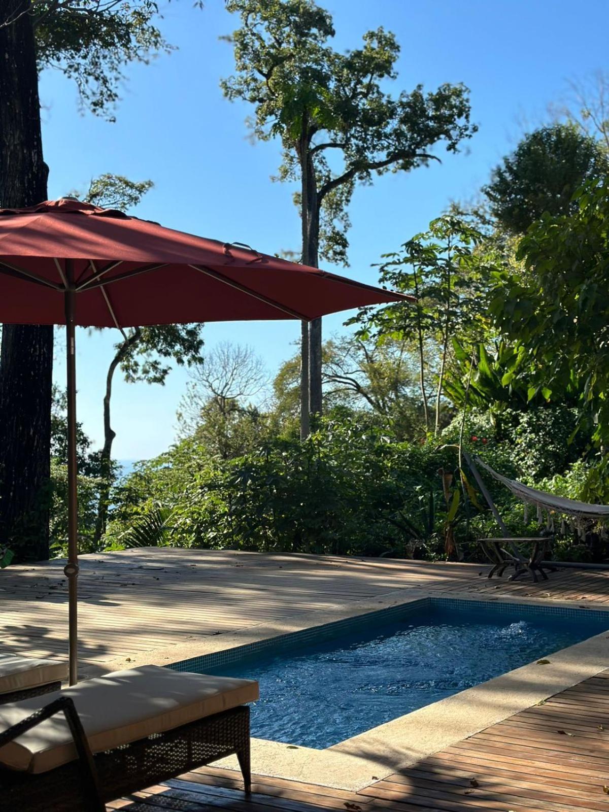 La Sana Surf Hotel, New Management, Few Mn Drive To The Beach Playa Santa Teresa  Eksteriør billede