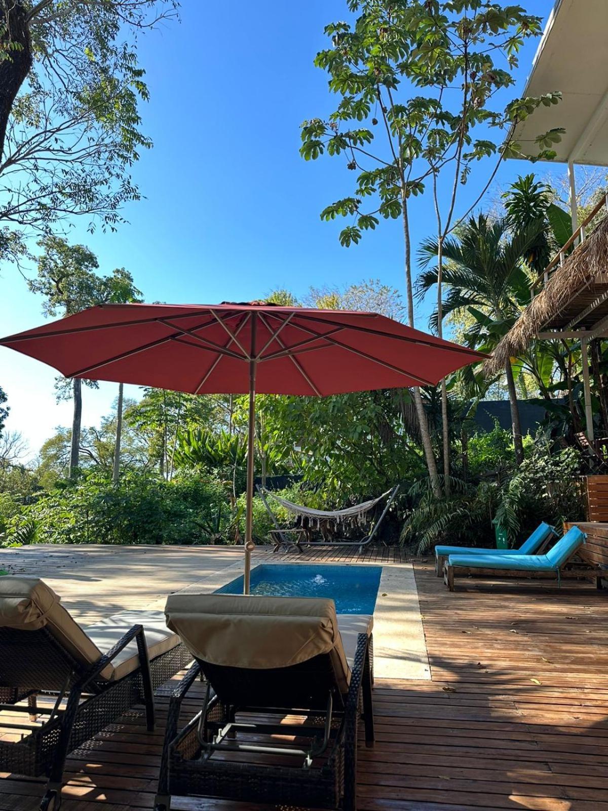 La Sana Surf Hotel, New Management, Few Mn Drive To The Beach Playa Santa Teresa  Eksteriør billede
