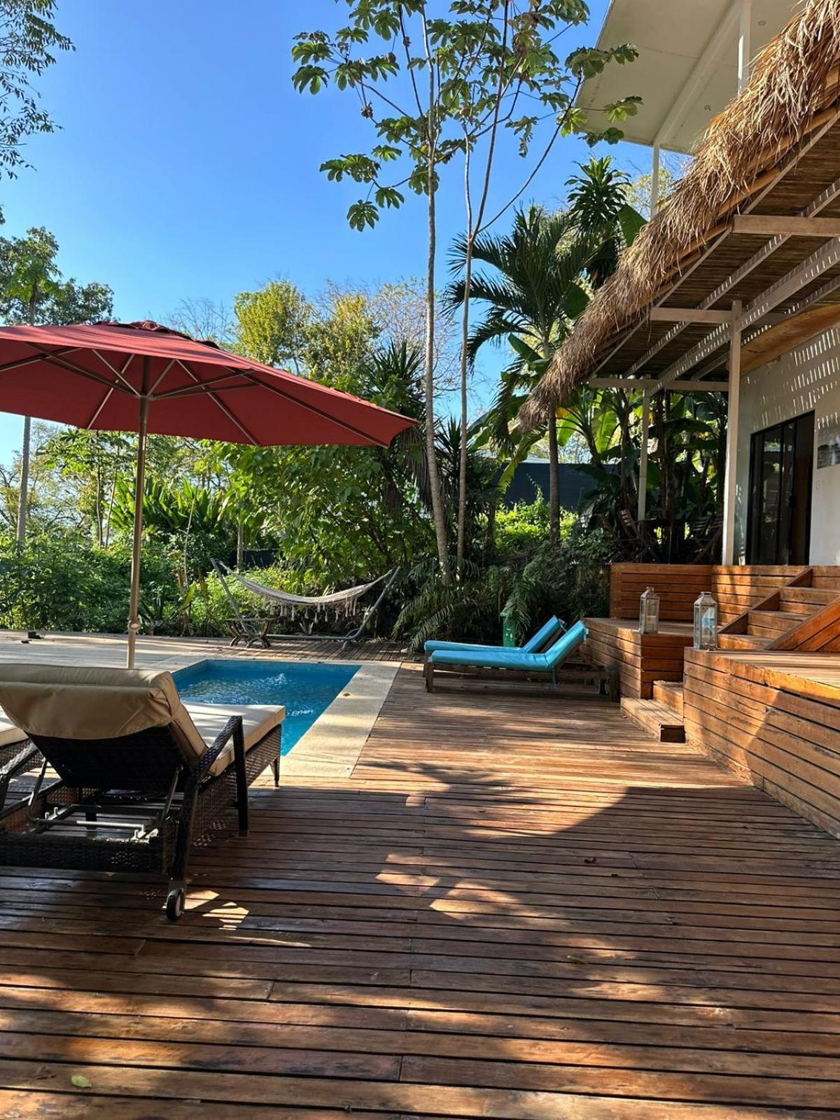 La Sana Surf Hotel, New Management, Few Mn Drive To The Beach Playa Santa Teresa  Eksteriør billede